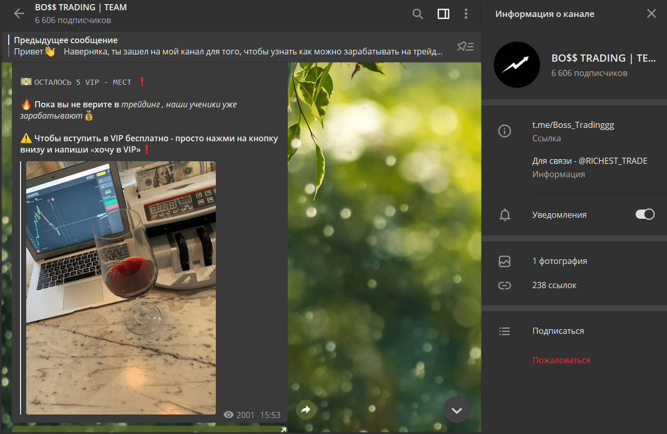 Реклама VIP-клуба на Телеграм-канале Boss Trading 