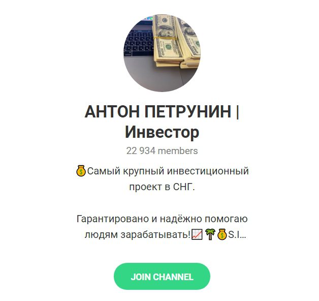 Антон Петрунин Инвестор