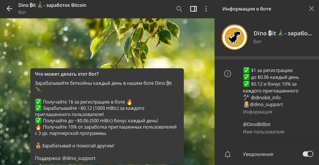 Информация о боте Dinobitbot