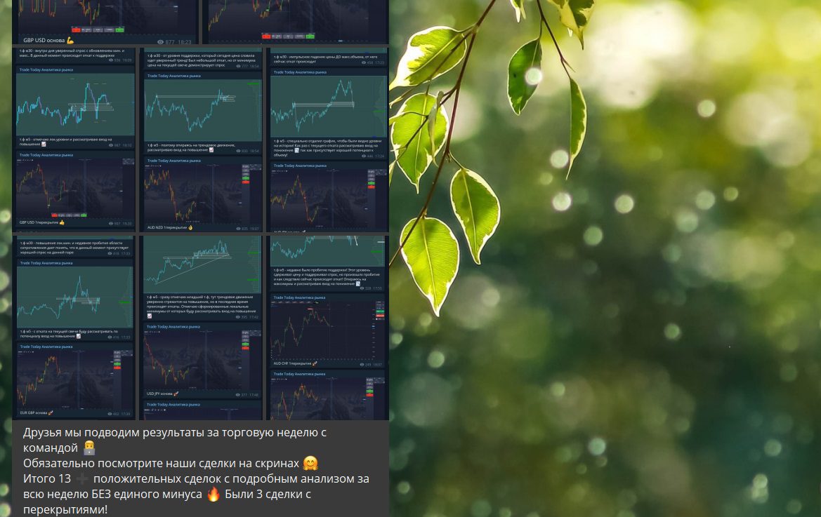 Телеграм компании Трейд Тудей