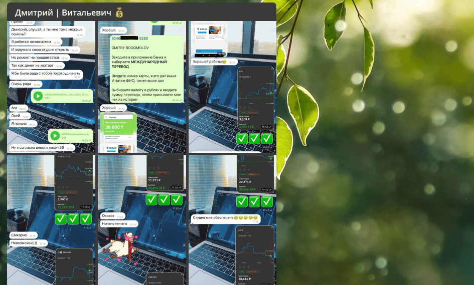скрины выплат в Телеграмме Дмитрий Витальевич