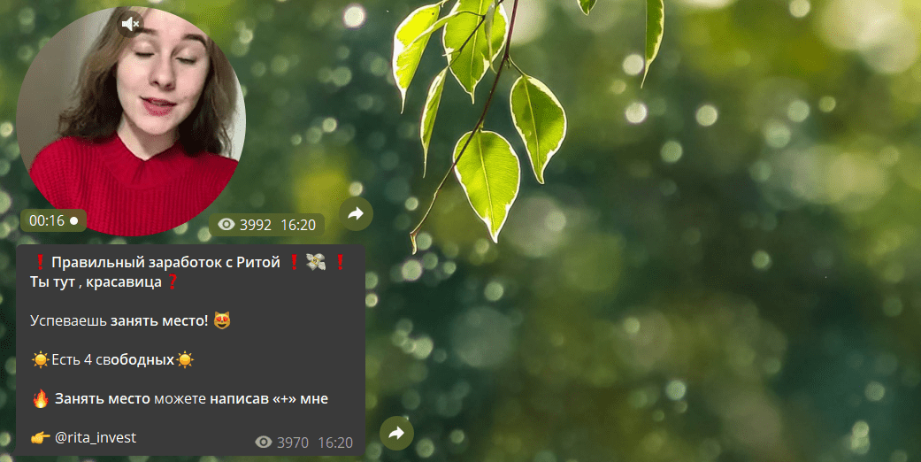 Канал Правильного заработка с Ритой в телеграмме