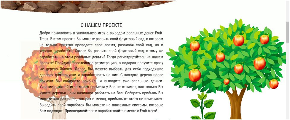 Информация об игре с выводом денег Fruit Trees