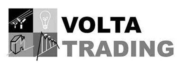 Компания Volta Trading Group