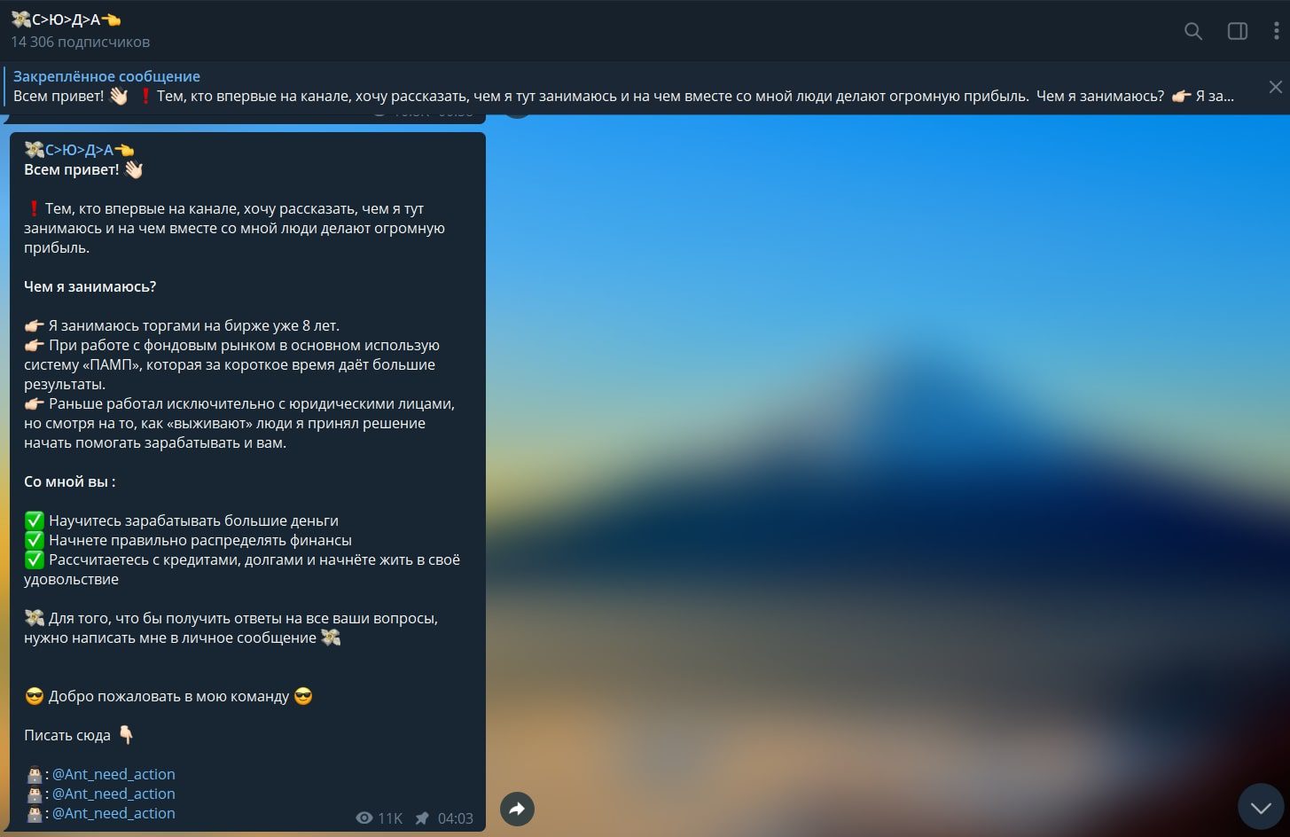 Телеграмм канал Ant Need Action