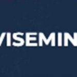 Viseming ltd