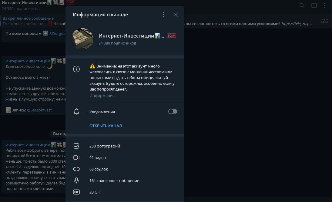 Информация о канале Sergolnvest