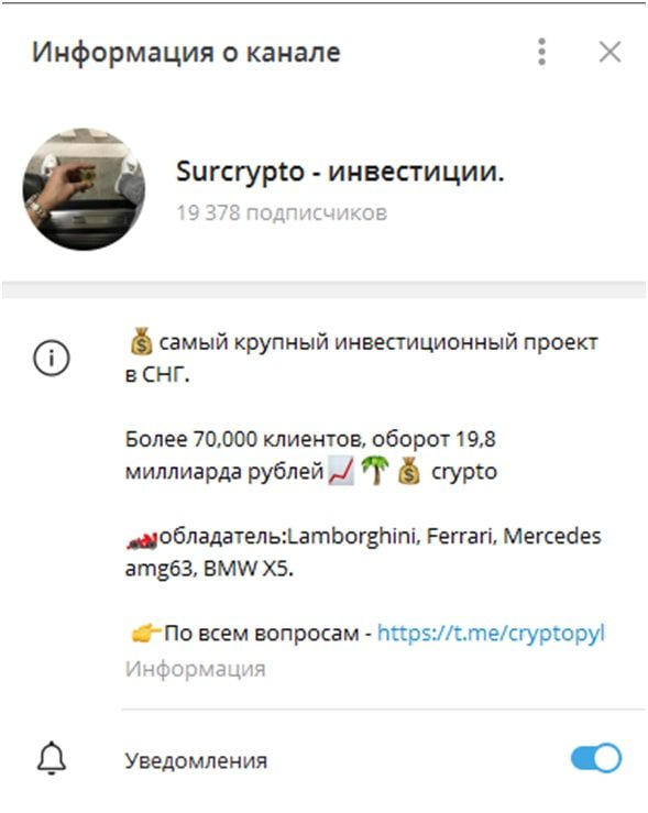 Информация о канале Surcrypto