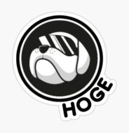 Mонета Hoge