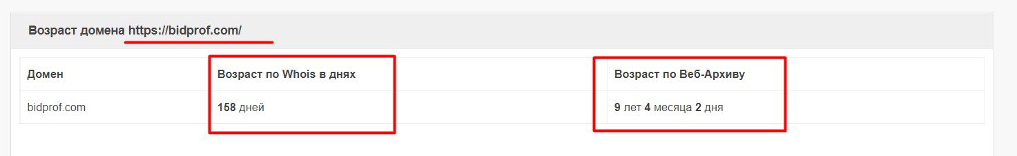 Возраст домена Признаки мошенничества Bid Prof
