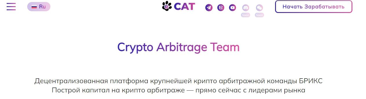 Условия сотрудничества с Mycat Team