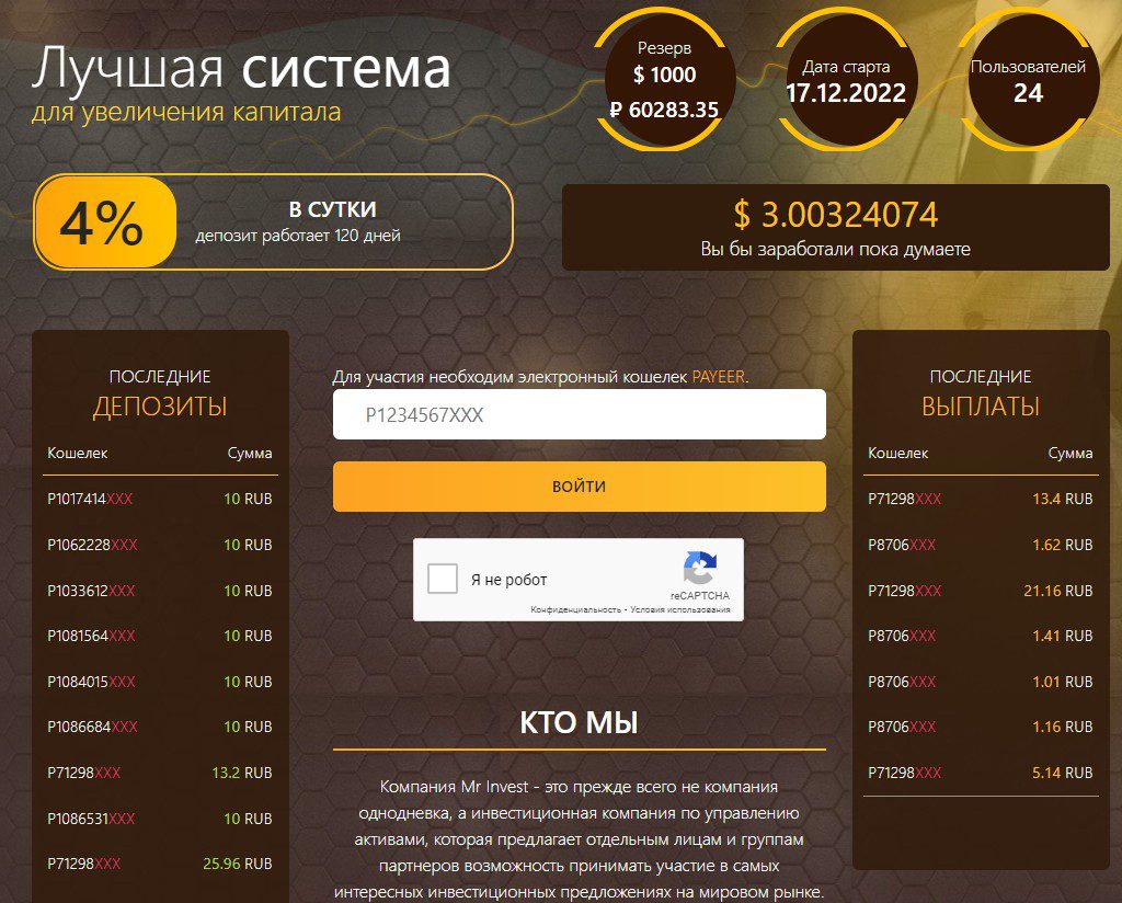 Mr Invest проект обзор