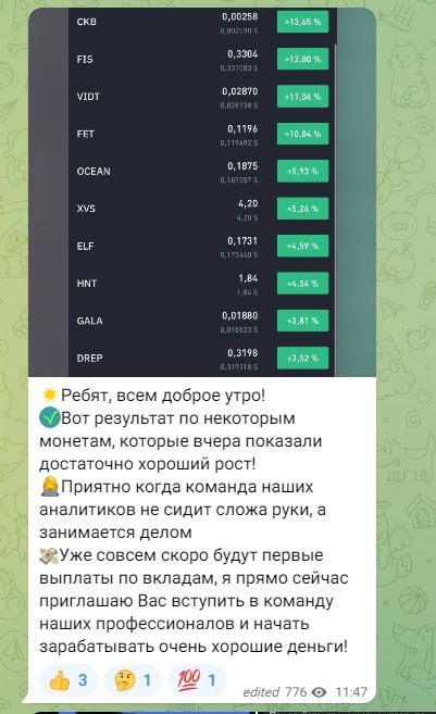 Проект Марии Шелестовой