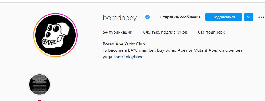 Инстаграм Bored Ape Yacht Club 