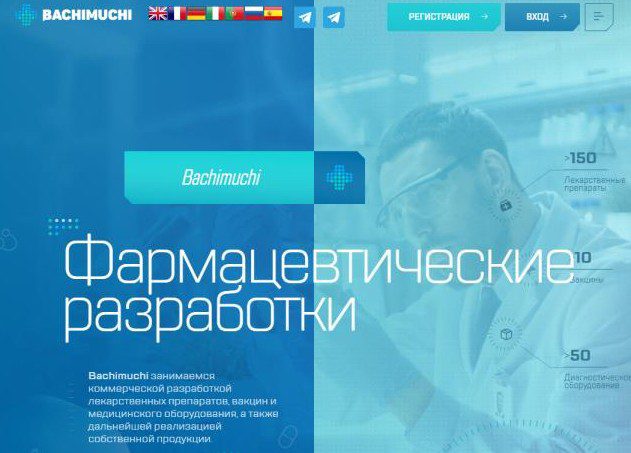 Обзор компании Bachimuchi CC