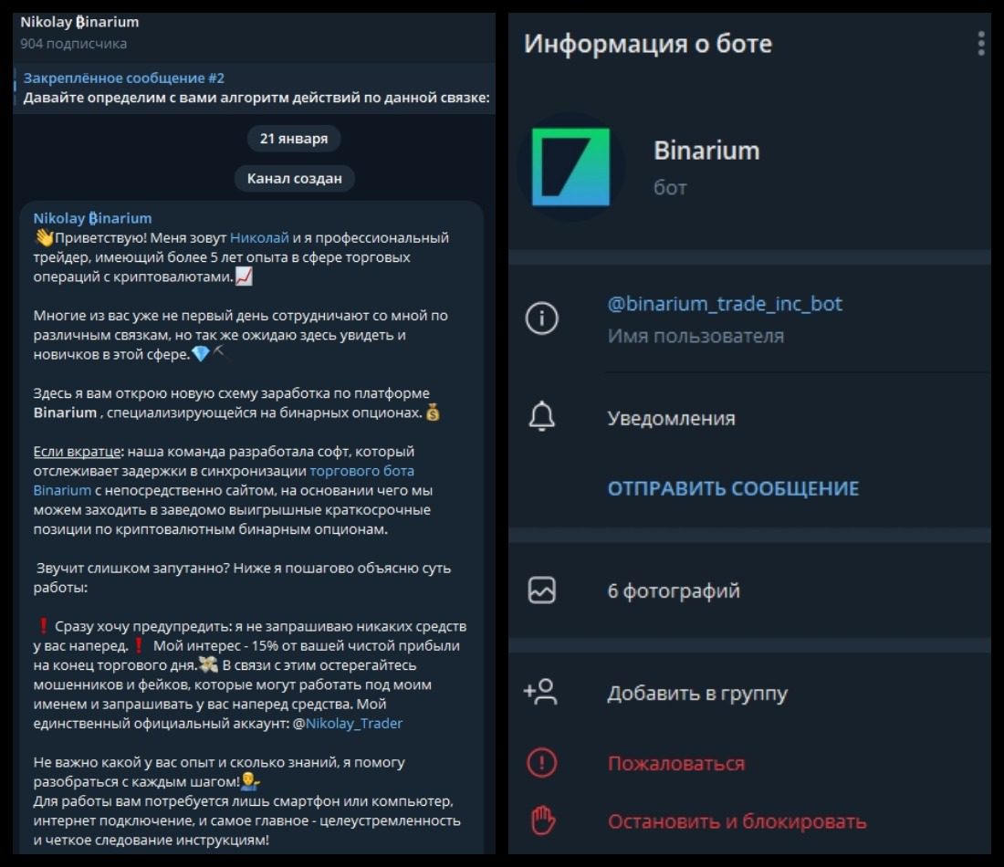 Информация о боте Nikolay Binarium