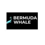 Bermuda WhaleТелеграмм