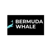 Bermuda WhaleТелеграмм