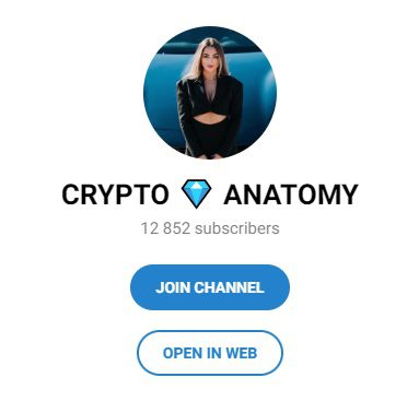 Crypto Anatomy – инвестиционный проект Yaroslava Vie