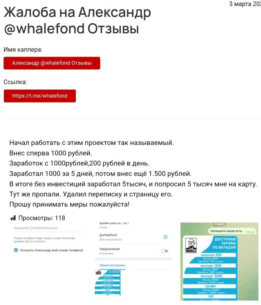 Отзывы о Александре @Whalefond