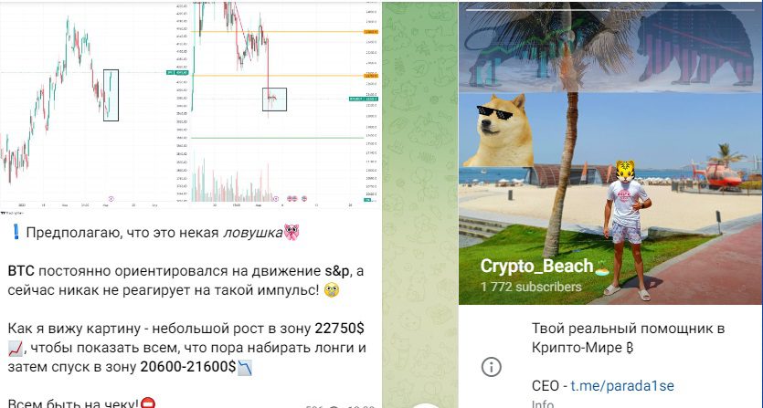 Канал Crypto Beach в телеграмме