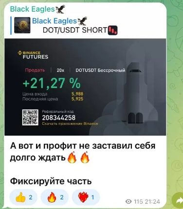 Проект Black Eagles