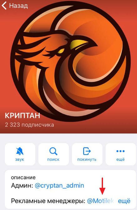 Ютуб Crypto Graff Крипто Трейдер