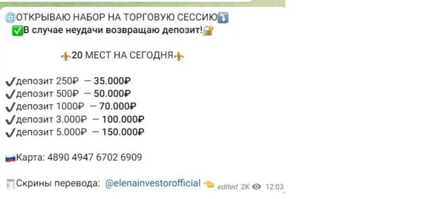 Еlenainvestorofficial телеграм