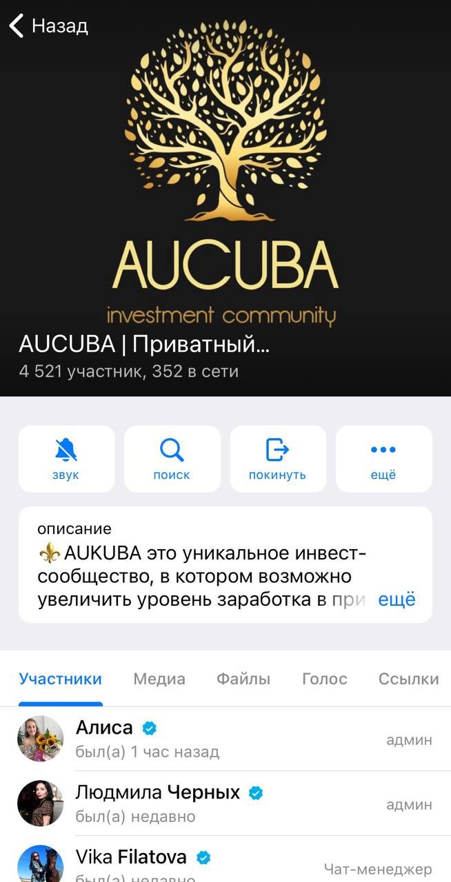 Информация о канале AUCUBA