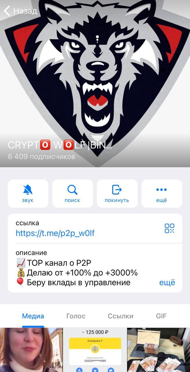 Информация о канале Crypto Wolf Binance