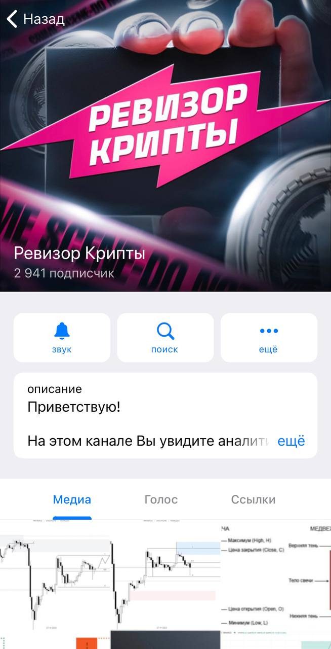 ТГ канал Crypto Revizzor