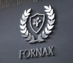 Fornax Capital