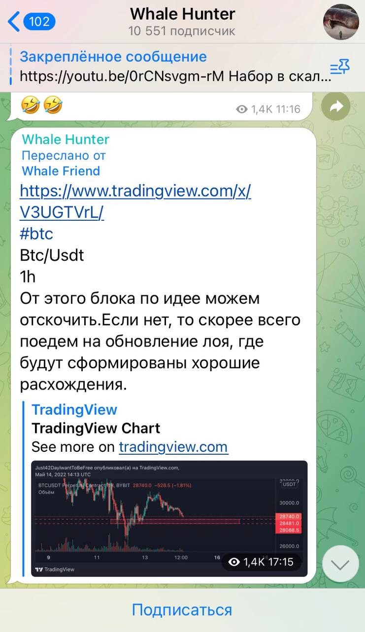 Новости на Телеграмм канале Whale Hunter