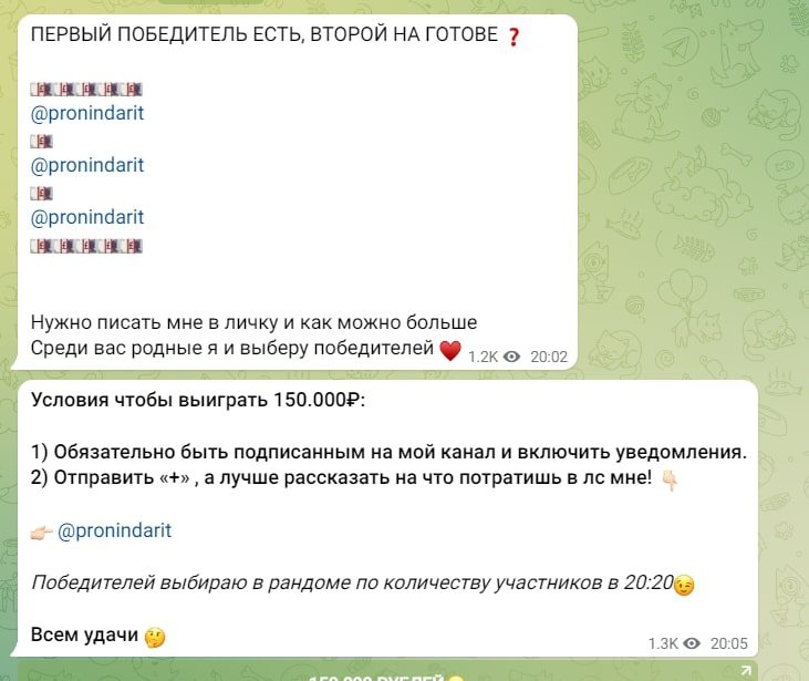 Пронин Дарит победители