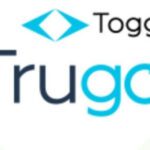 Trugo заработок