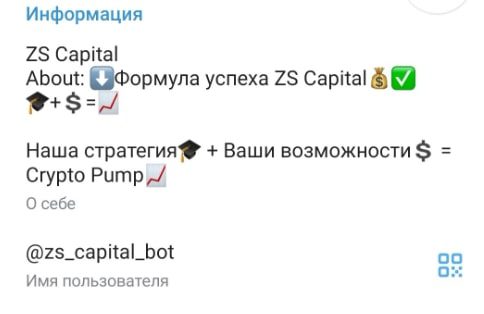 Канал ZS Capital