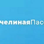 Пчелиная пасека