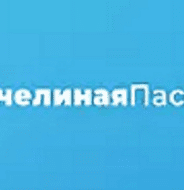 Пчелиная пасека