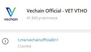 ТГ канал Vechain VET