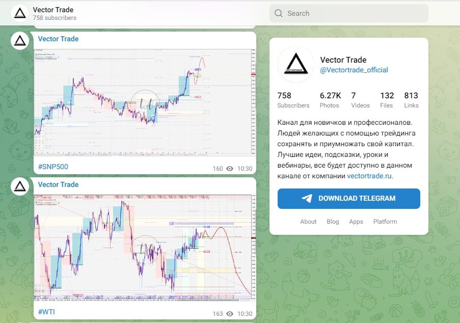Вектор Трейд телеграмм