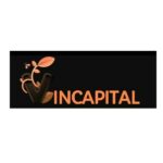 Vincapital net