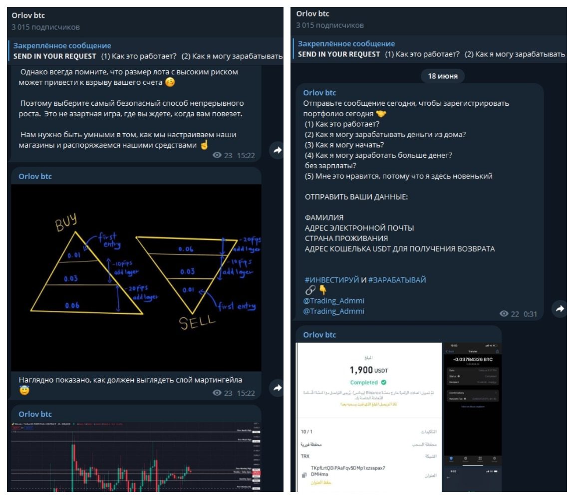 Описание работы Orlov BTC