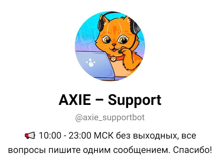 Axie NFT поддержка