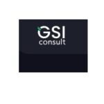 Gsi consult