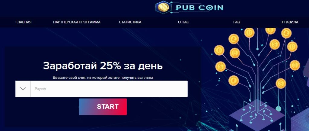 Проект Rub Coin