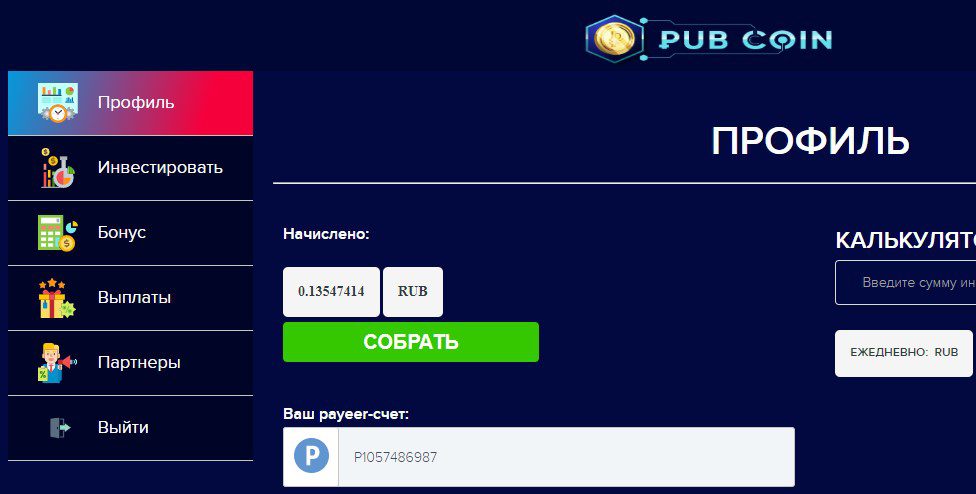 Rub Coin профиль