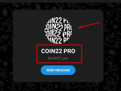 coin22 pro telegram