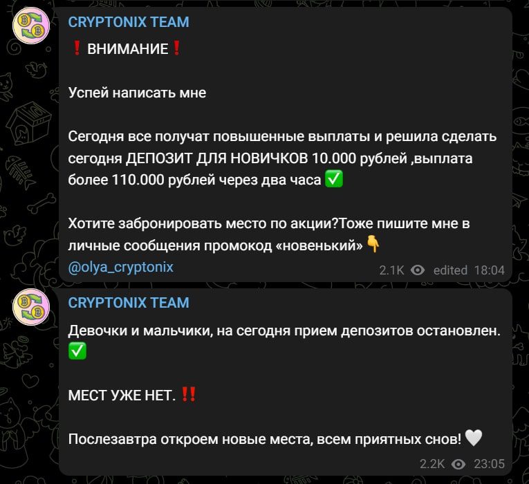 Cryptonix team инфо