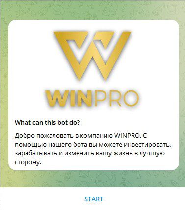 WINPRO бот телеграмм скам