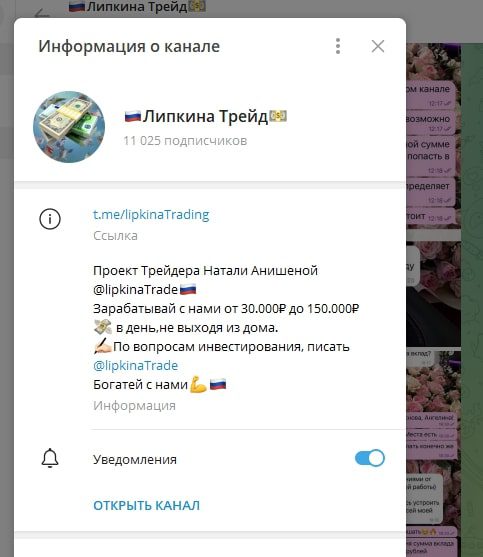 Липкина Трейд информация о канале